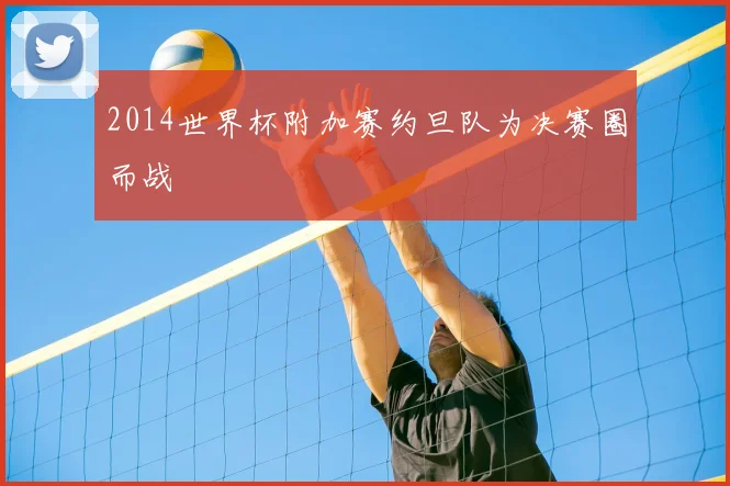 2014世界杯附加赛约旦队为决赛圈而战