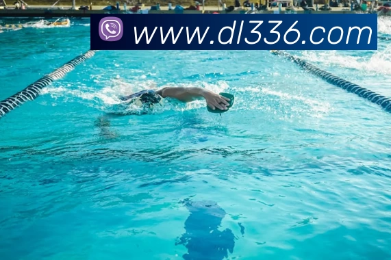 App Interface Preview